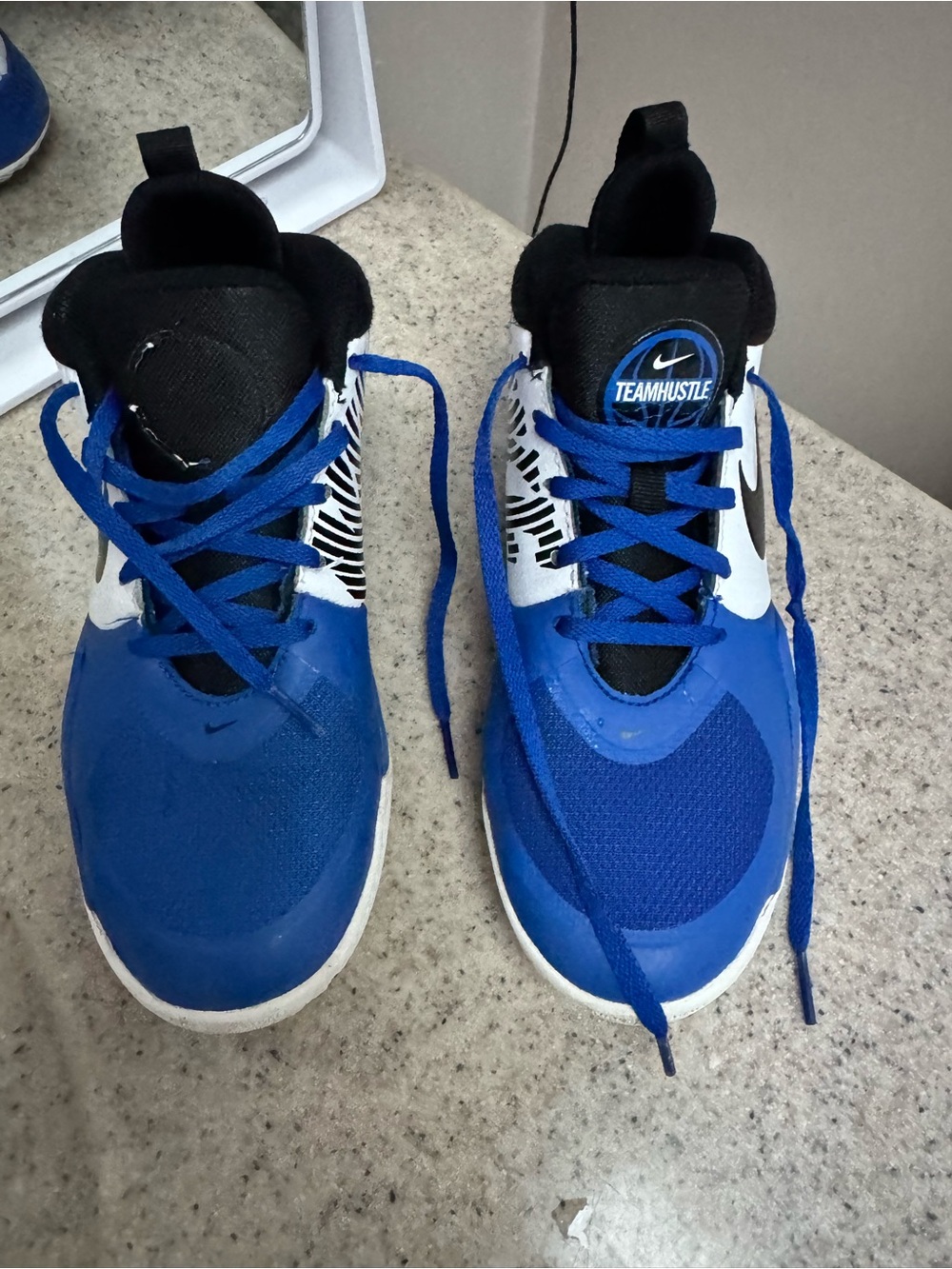 Nike Kids Blue and White Team Hustle Sneakers